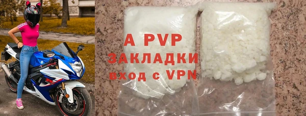 СК Алексин