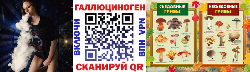 сколько стоит  Кирс  Псилоцибиновые грибы ЛСД 