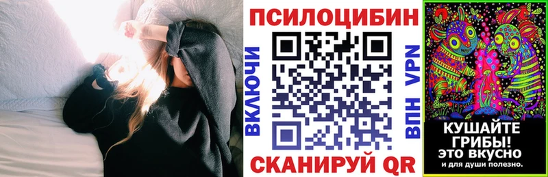 Псилоцибиновые грибы Psilocybine cubensis Кирс